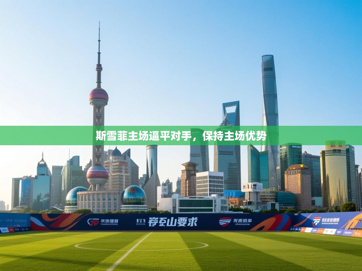 斯雪菲主场逼平对手,保持主场优势 第1张